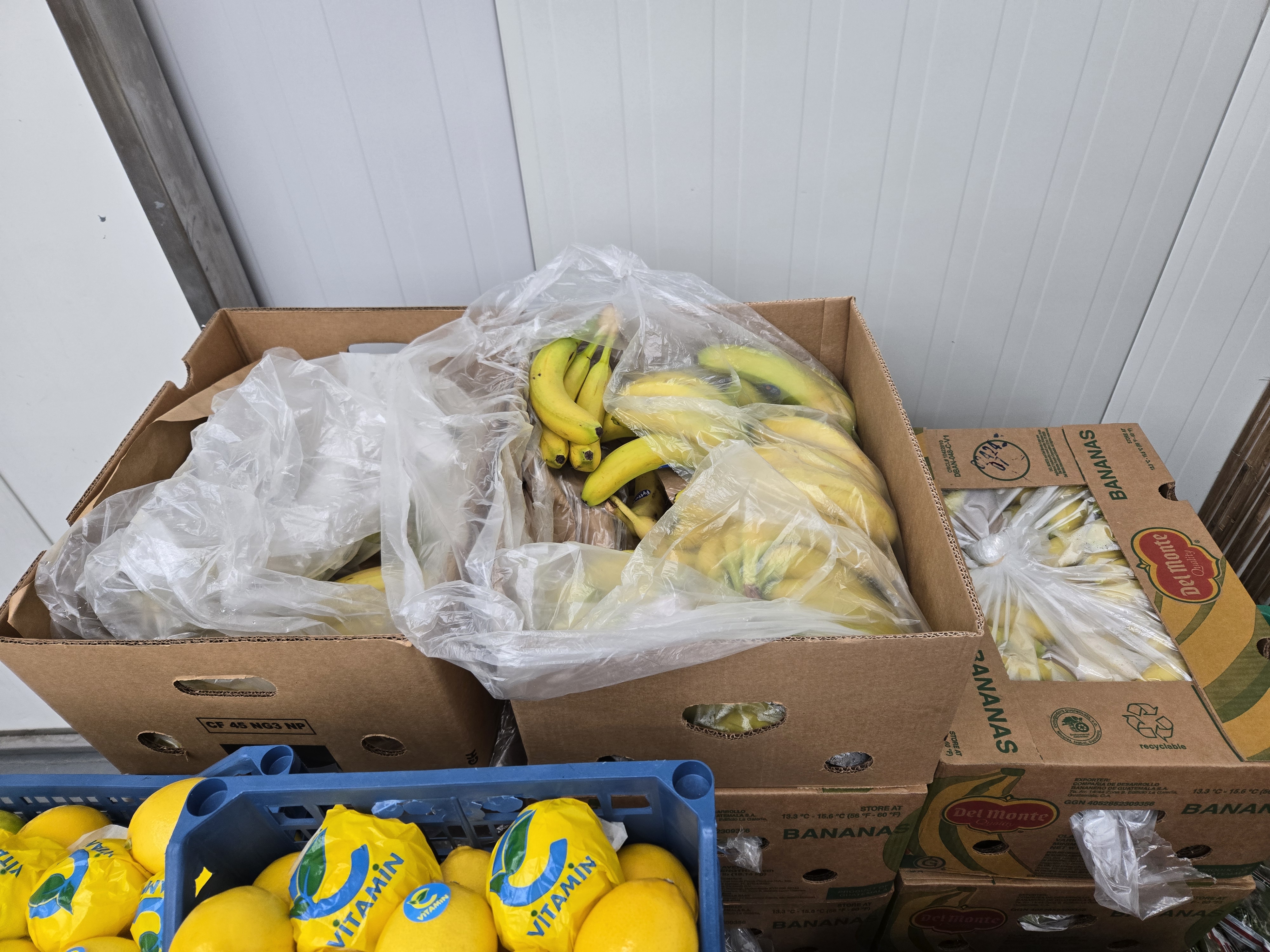 Korytarz magazynowy z paletami warzyw