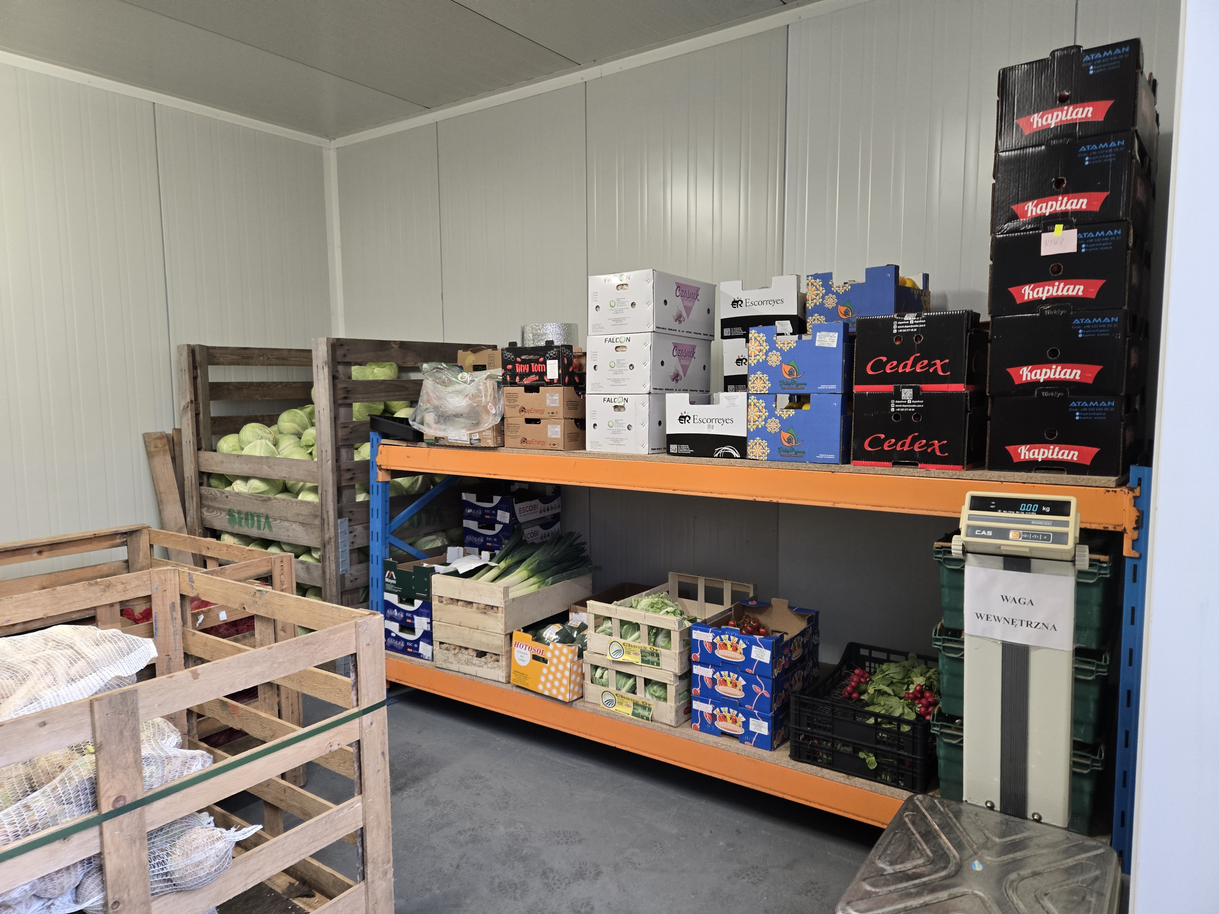 Regał z warzywami i owocami w chłodni hurtowni Vitamina