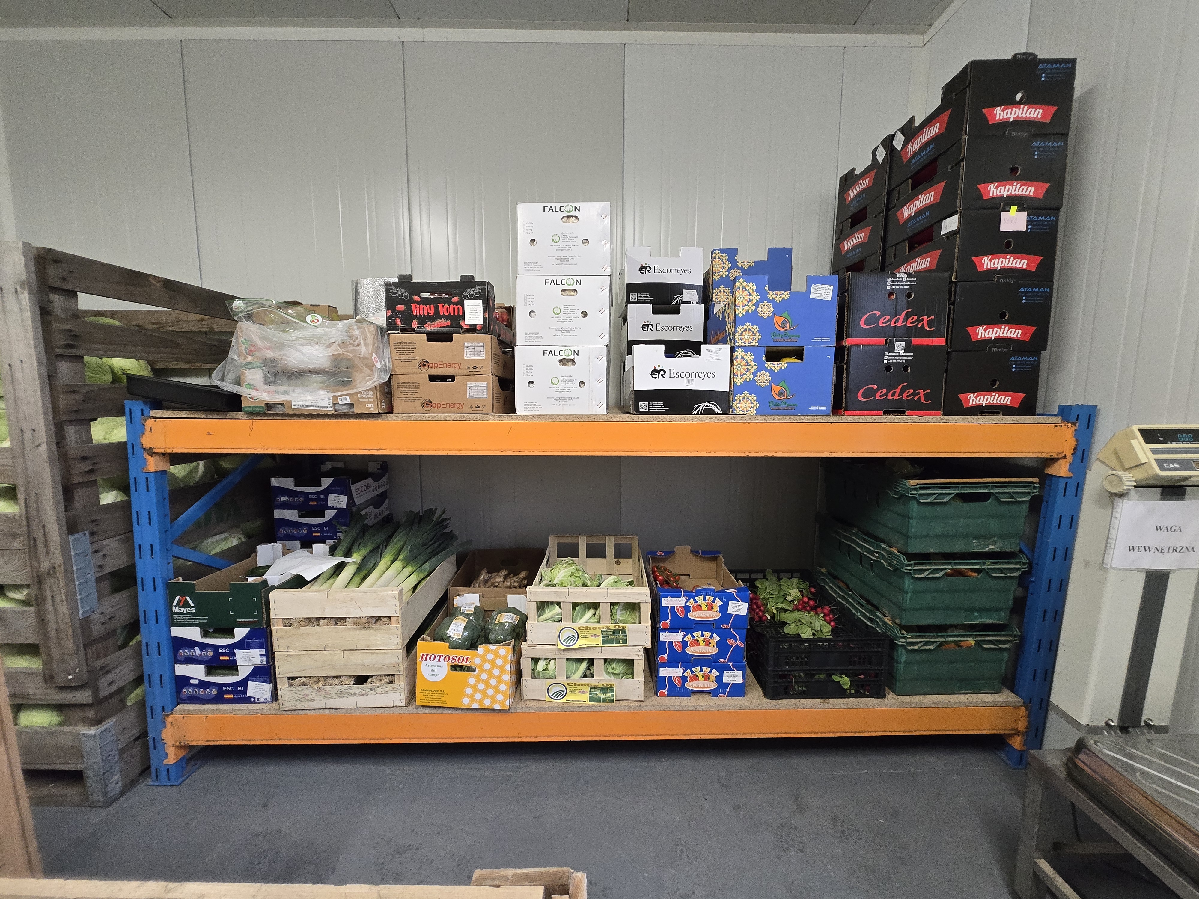 Warzywa w skrzynkach na regale