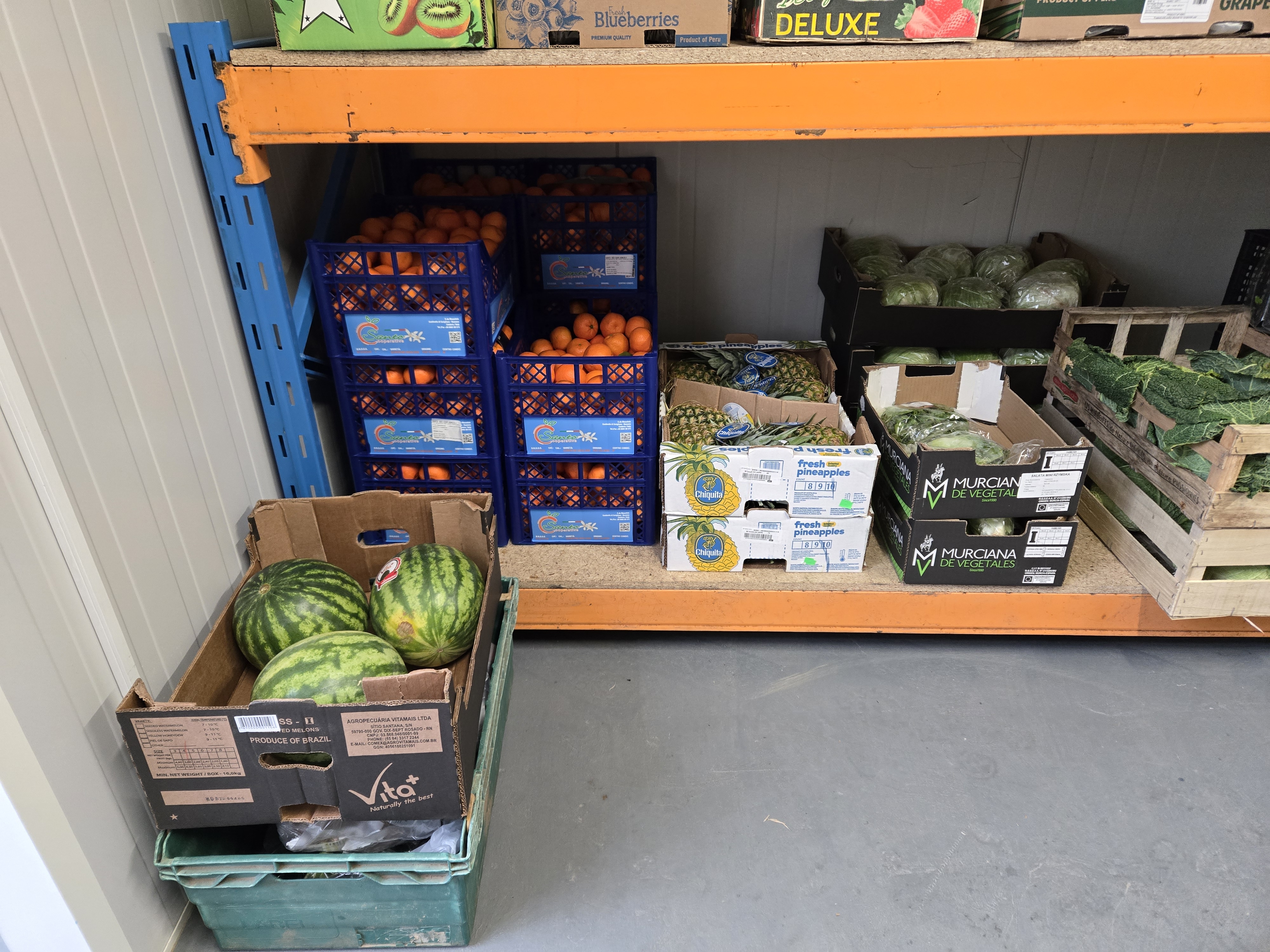 Skrzynki z warzywami ustawione w rzędzie