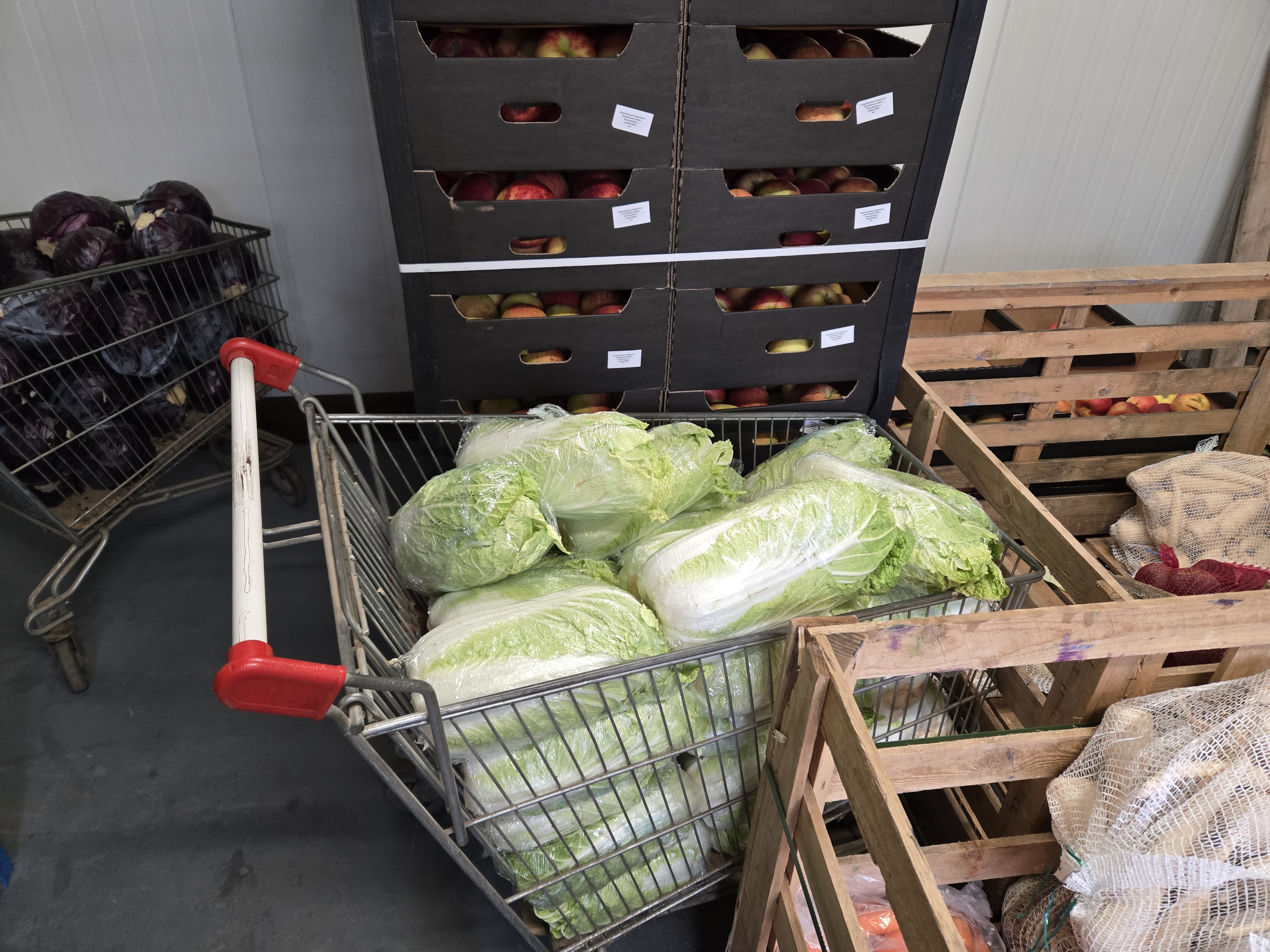 Zbliżenie na skrzynki z warzywami w hurtowni Vitamina